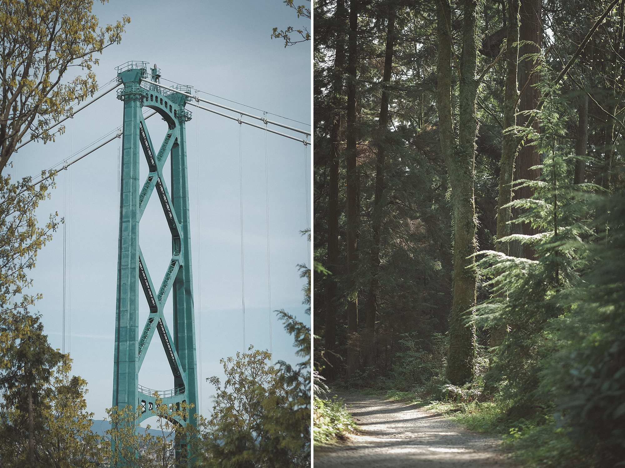 View of the Lion's Gate Bridge and path way in Stanley Park.