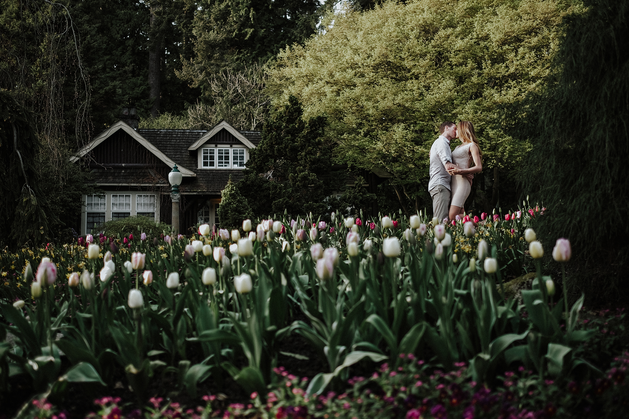 Tulips in Stanley Park with couple kissing in background.