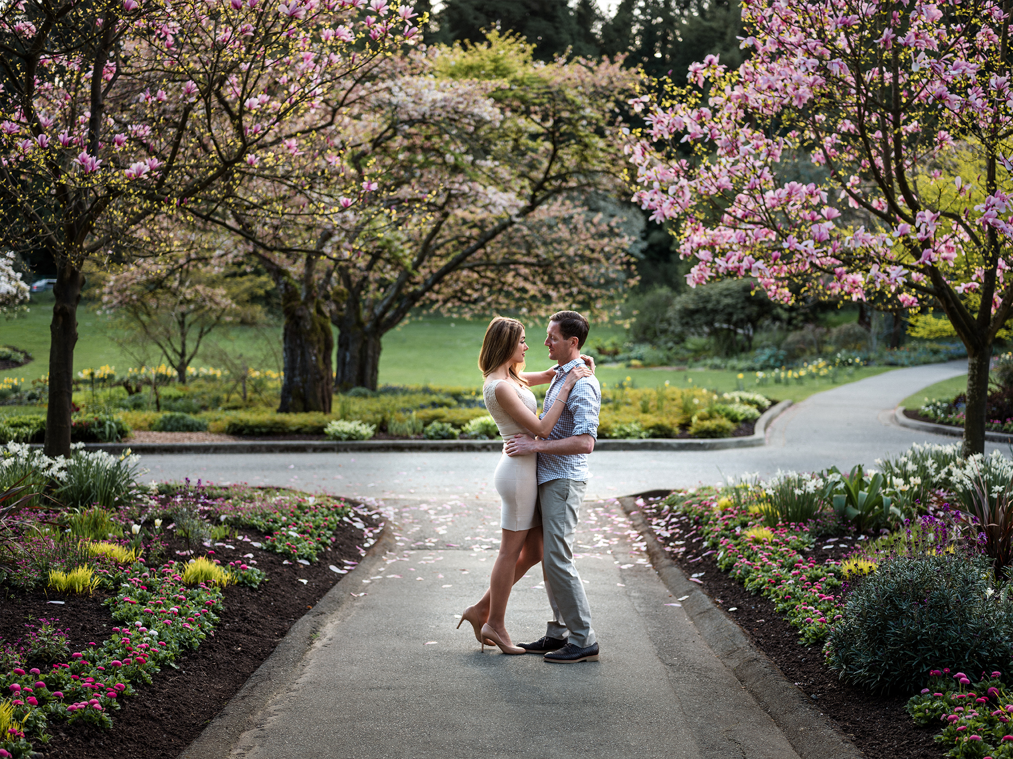 Romantic couple under a Magnolia tree in full bloom in Stanley Park.