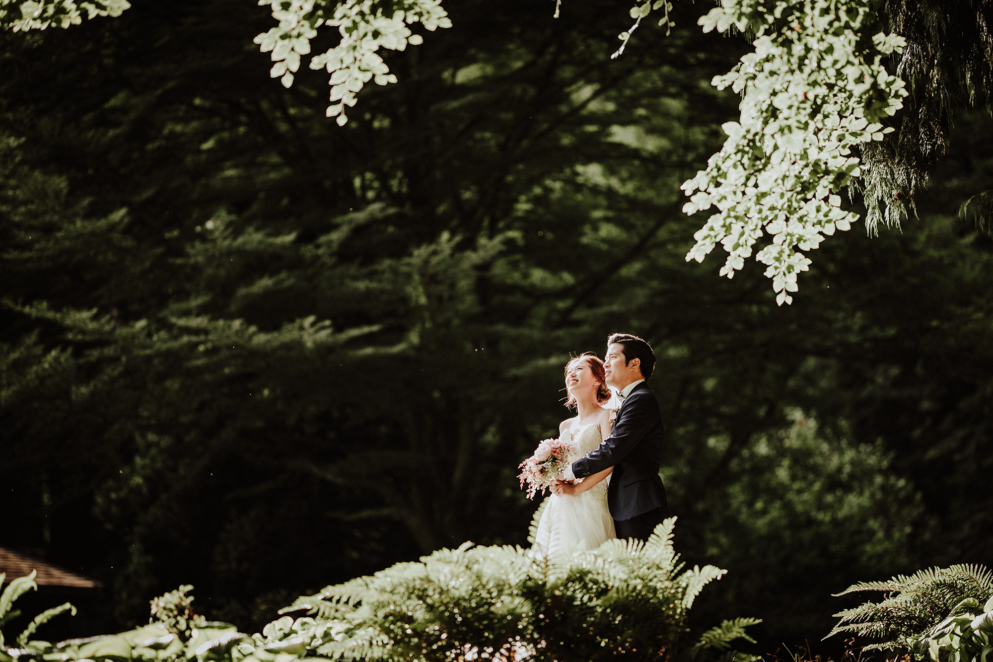 Wedding couple stand in the light of the sun with a dark forest behind them