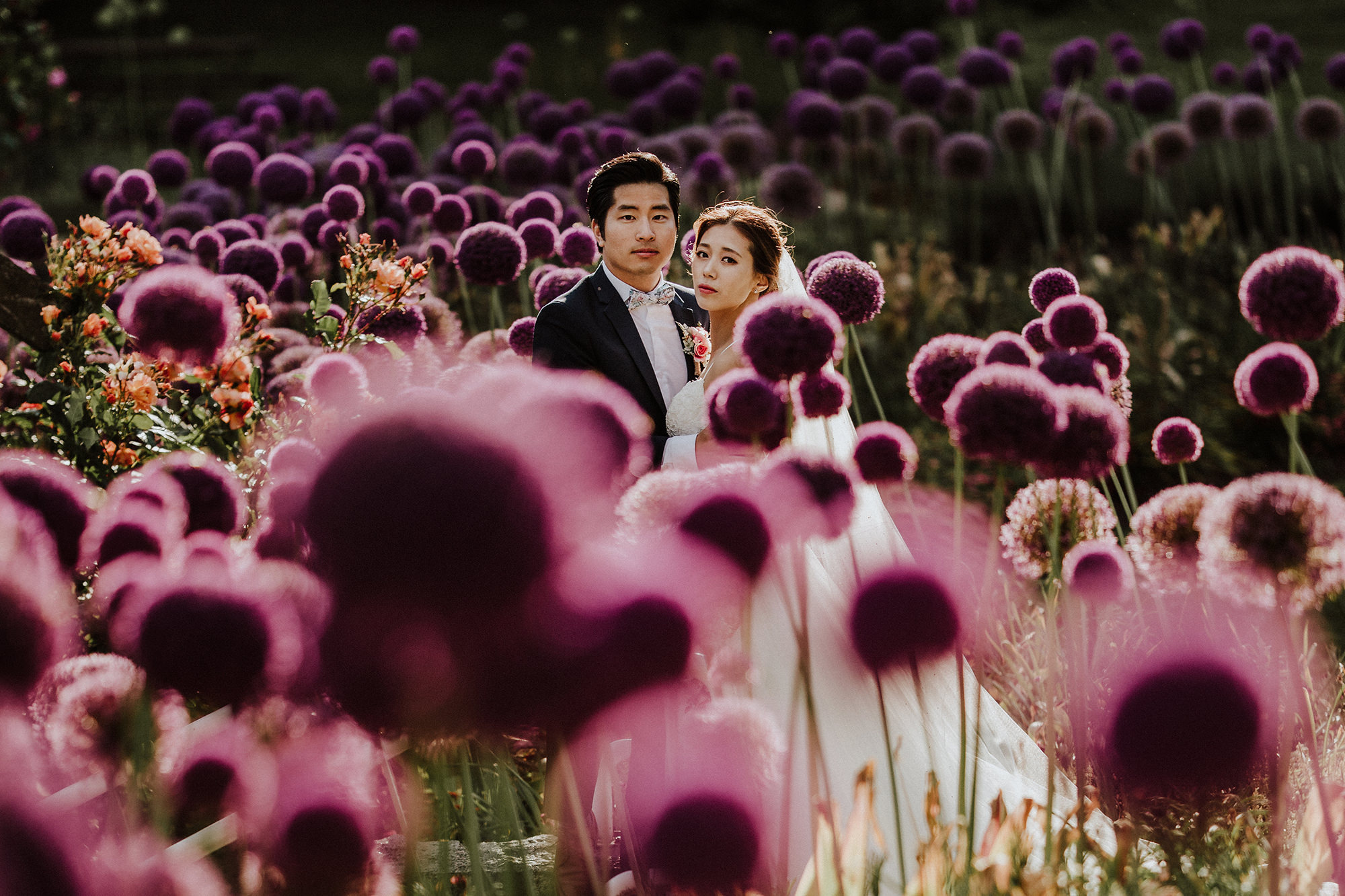 Bride and groom in the midst of some big purple flowers